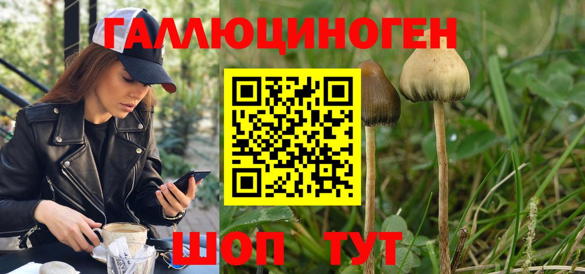 Псилоцибиновые грибы GOLDEN TEACHER Чехов
