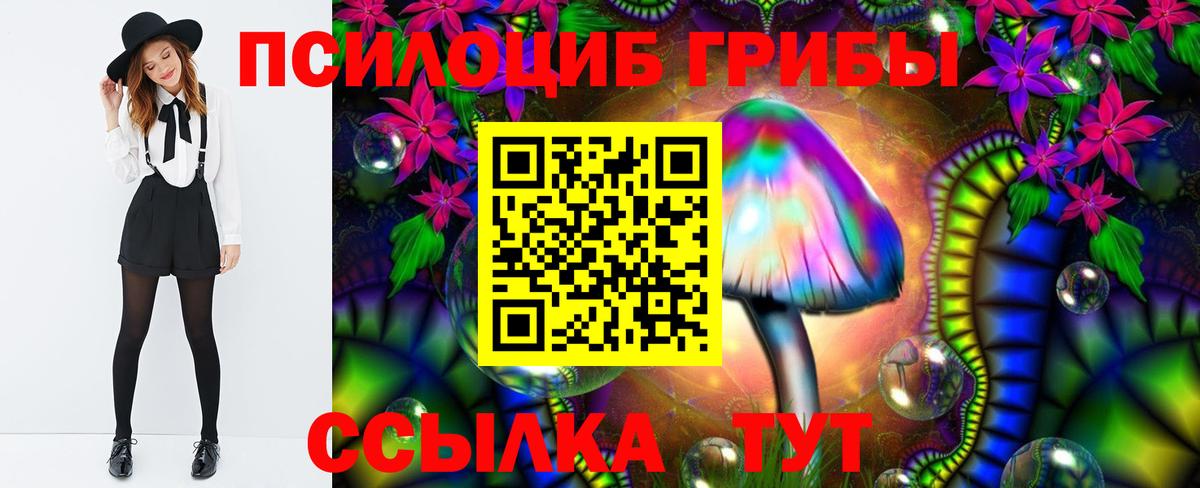 Галлюциногенные грибы прущие грибы  Вход с VPN  Псилоцибиновые грибы мухоморы  Чехов 